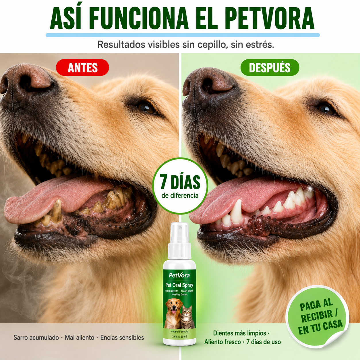 🐶 PetVora | Spray Bucal para Perros