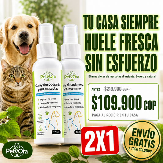 🐶 PetVora | Spray Educador para Perros
